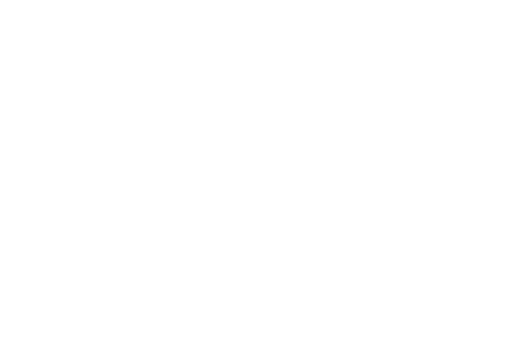 Cinturs